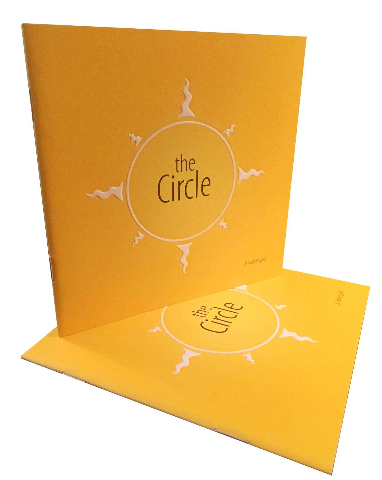 Cover photo of The Circle